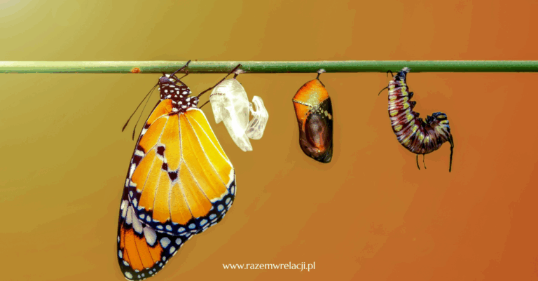 Marlena Kalinowska_psychoterapia_gestalt_paradoksalna teoria zmiany